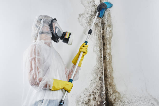 Best Mold Testing  in Medfd, OR
