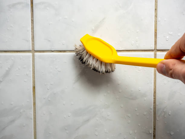 Best Office Mold Removal Services  in Medfd, OR