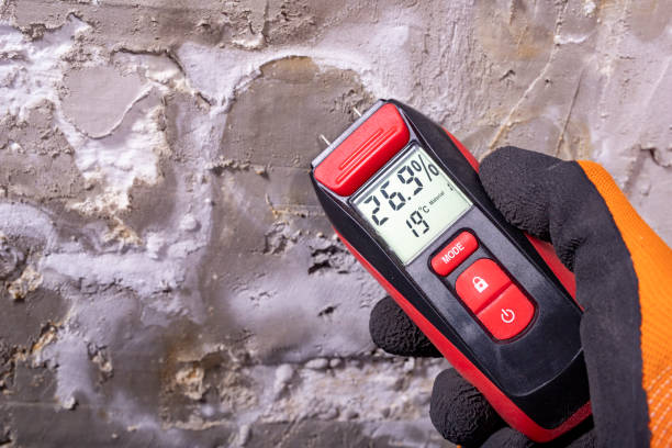 Mold Removal and Inspection in Medford, OR