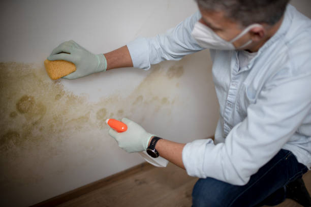Best Mold Testing  in Medfd, OR